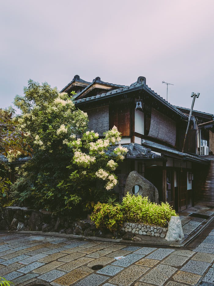 A House in a Town